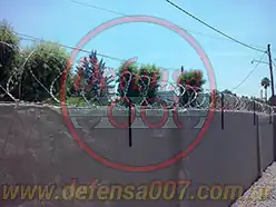 Instalación de concertina helicoidal cruzada de 45 cm sobre muro.