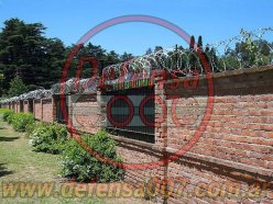 Instalación de concertina helicoidal cruzada sobre muro y reja. Barrio privado. Zona Benavídez.
