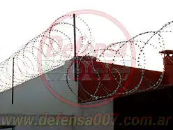Instalación de concertina helicoidal cruzada de 70 cm sobre muro.