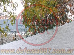 Instalación de concertina helicoidal cruzada de 45 cm en doble capa sobre muro. Escuela zona Tigre.