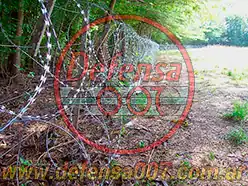 Instalación de concertina helicoidal cruzada de 70 cm en doble capa en alambrado rural. Zona Luján.