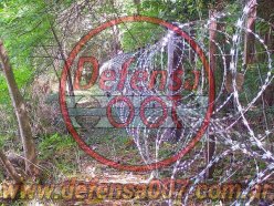 Instalación de concertina helicoidal cruzada de 70 cm en doble capa en alambrado rural. Barrio privado, zona Luján.