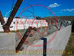 Instalación de concertina helicoidal cruzada de 70 cm sobre muro de bloques portantes. Zona Comodoro Rivadavia.