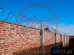 Vista interior. Instalación de concertina helicoidal cruzada sobre muro de ladrillos, zona Pergamino.