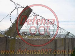 Instalación de concertina helicoidal cruzadade 45 cm sobre muro premoldeado. Zona Benavídez.