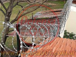 Instalación de concertina helicoidal cruzada de 45 cm sobre muro y techo. Atrás un galgón de chapa.