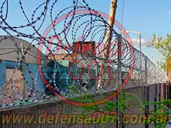 Instalación de concertina helicoidal cruzada de 45 cm en doble capa sobre muro. Zona San Fernando.