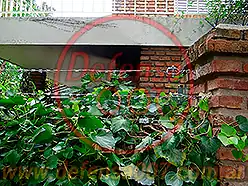 Instalación de concertina lineal sobre cerco vivo. Zona San Isidro.