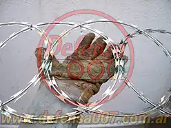 La mano del artista. Mano con guantes sosteniendo concertina plana.