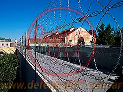 Instalación de concertina plana de 65 cm en triple capa sobre muro. Servicio penitenciario, pcia. de Santa Fe.