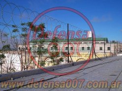 Instalación de concertina plana de 65 cm en triple capa sobre muro. Servicio penitenciario, pcia. de Santa Fe.