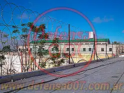 Instalación de concertina plana de 65 cm en triple capa sobre muro. Servicio penitenciario, pcia. de Santa Fe.