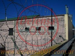 Instalación de concertina plana de 65 cm en triple capa sobre muro. Servicio penitenciario, pcia. de Santa Fe.