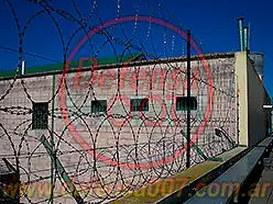 Instalación de concertina plana de 65 cm en triple capa sobre muro. Servicio penitenciario, pcia. de Santa Fe.