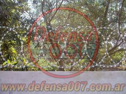 Instalación de concertina plana de 45 cm sobre muro. Vista frontal. Detrás vegetación abundante.