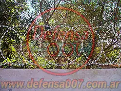 Instalación de concertina plana de 45 cm sobre muro. Vista frontal. Detrás vegetación abundante.