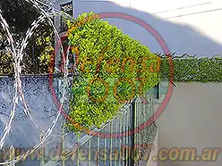 Instalación de concertina plana de 45 cm sobre reja con enredadera artificial. Vista en primer plano.