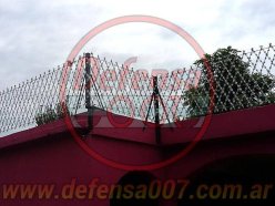 Instalación de concertina romboidal de 50 cm sobre muro.