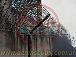 Instalación de concertina romboidal de 50 cm sobre muro inclinada a 45°.