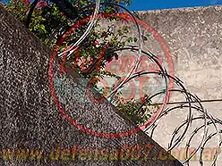 Instalación de concertina helicoidal simple de 45 cm, modelo CBT 65, sobre muro.