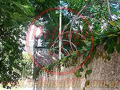 Vista cercana. Instalación de concertina helicoidal simple modelo CBT 65 sobre muro.