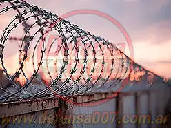 Instalación de concertina helicoidal simple de 45 cm sobre alambrado.