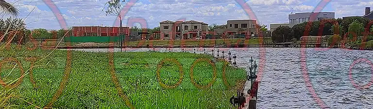 Boyero para carpinchos.