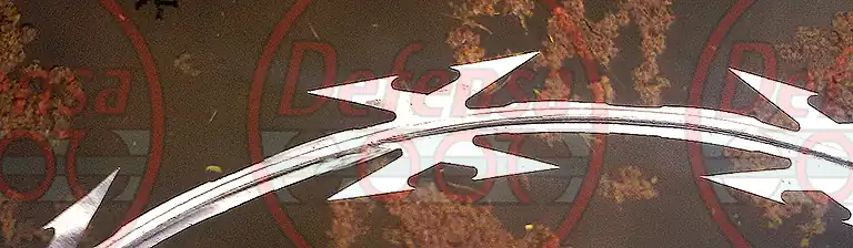 Instalación de concertina.