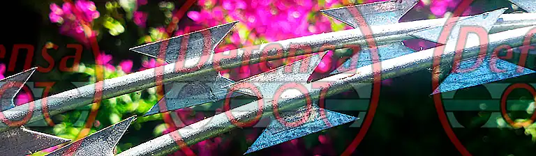 Instalación de concertina.