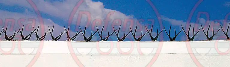 Instalación de pinches de seguridad.